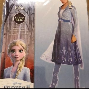 Frozen II Adult Elsa costume